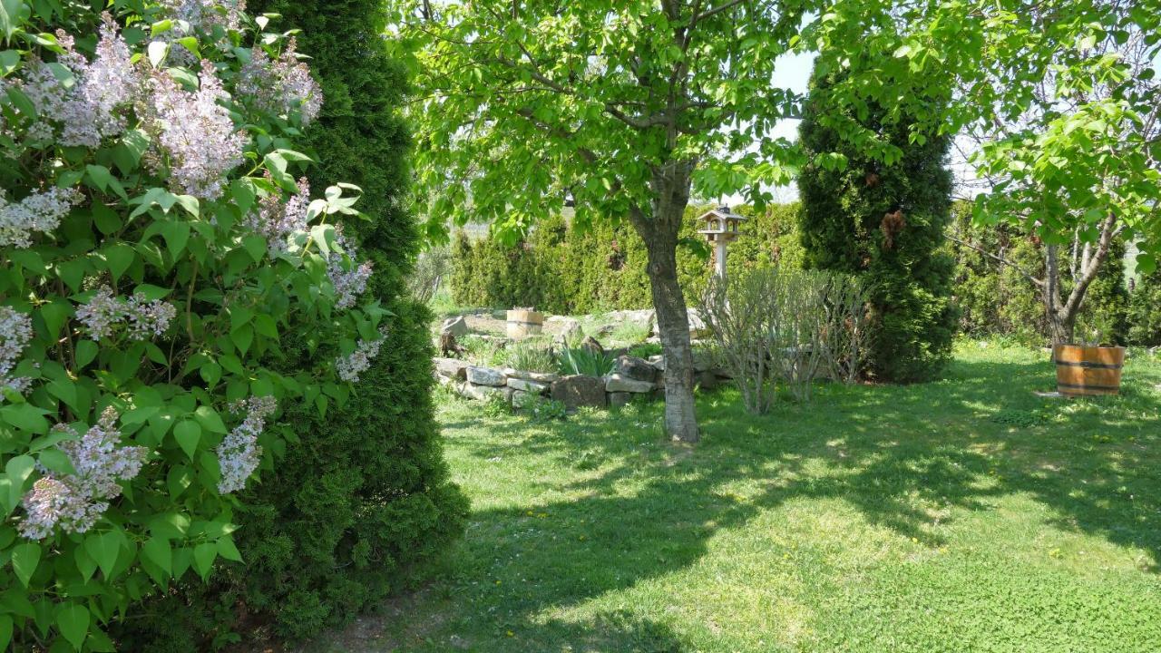 Gaestehaus Fischbach Jois Εξωτερικό φωτογραφία